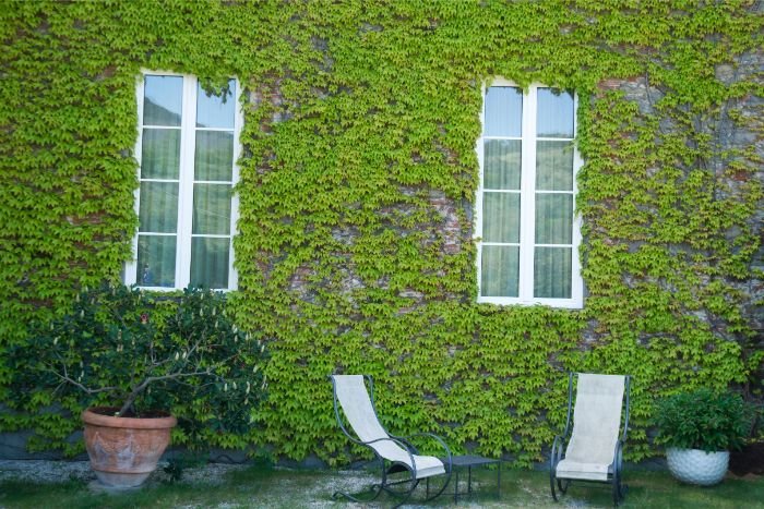 garden ideas